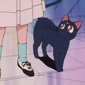 女人日逼的视频
